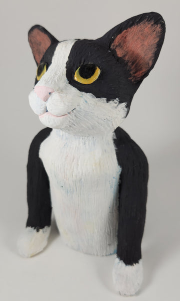 Black Cats are the New Black