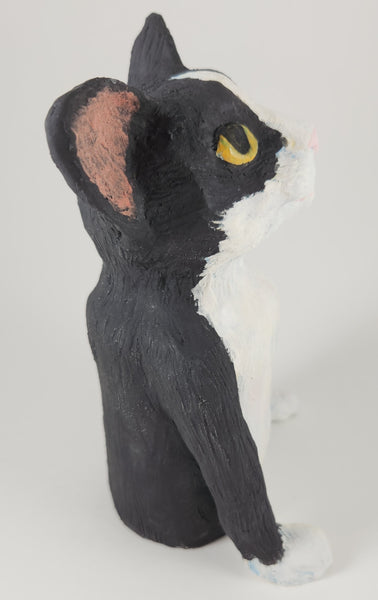 Black Cats are the New Black