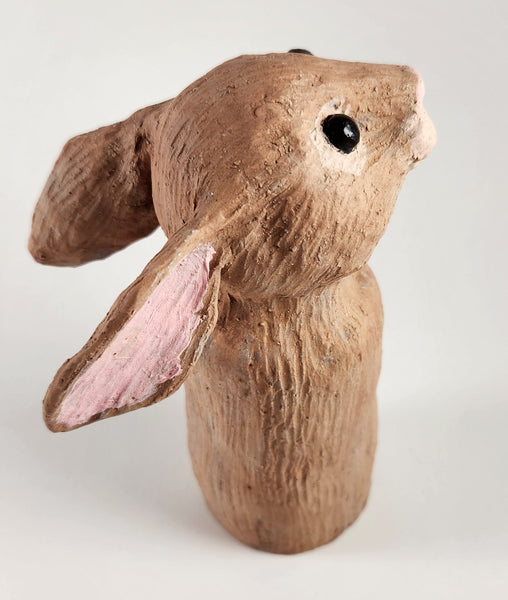 Don't Bug the Bunny