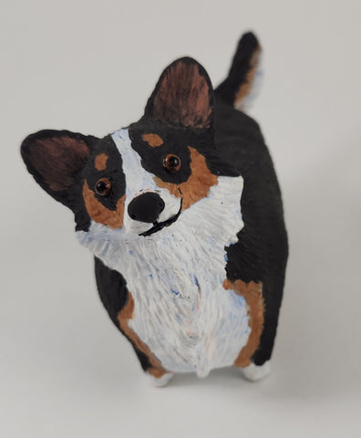 Corrine the Tri Colored Corgi