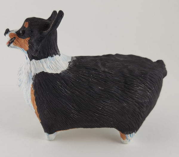 Cornelius the Tri Colored Corgi