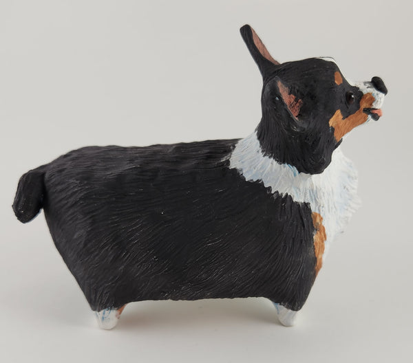 Cornelius the Tri Colored Corgi