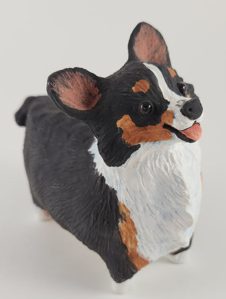 Cornelius the Tri Colored Corgi