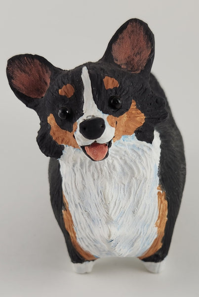 Cornelius the Tri Colored Corgi