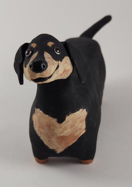 Dashiell the Dachshund