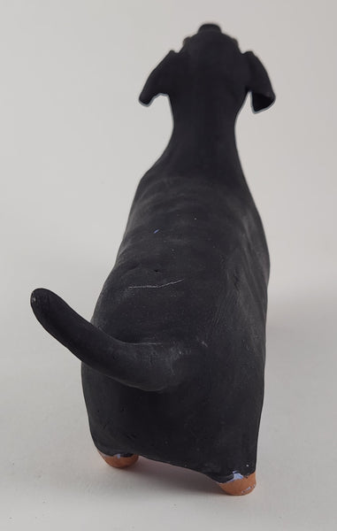 Dashiell the Dachshund