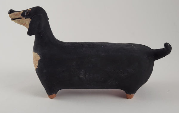 Dashiell the Dachshund