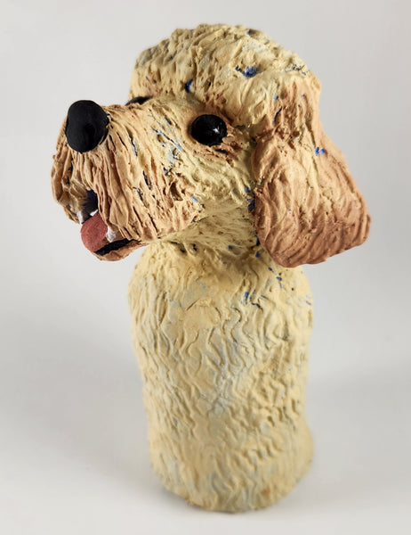 Dooley the Doodle Dog