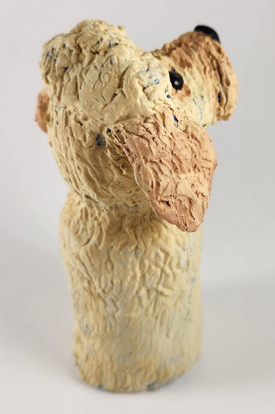 Dooley the Doodle Dog