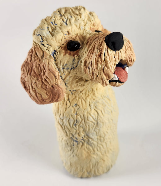 Dooley the Doodle Dog