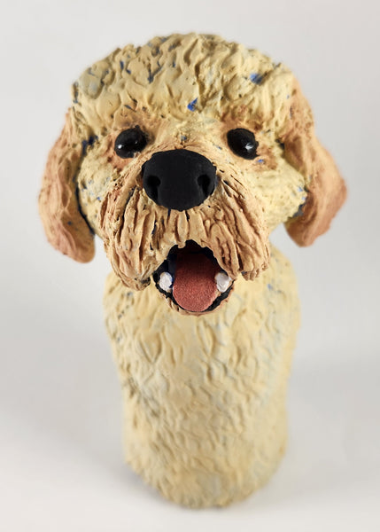 Dooley the Doodle Dog