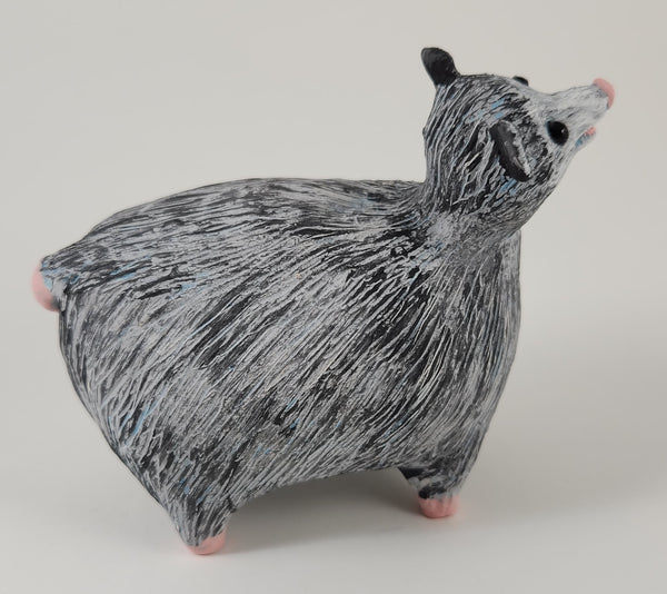 Polly Possum