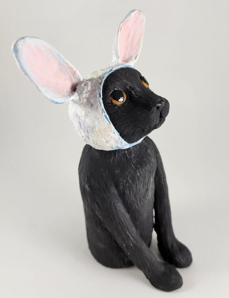 Black Cat with Bunny Hat