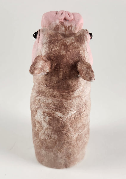 Polly the Potty Mouth Hippo