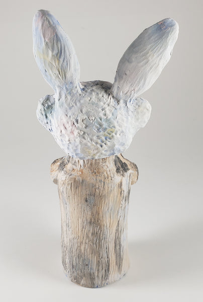 Meerkat with Bunny Hat